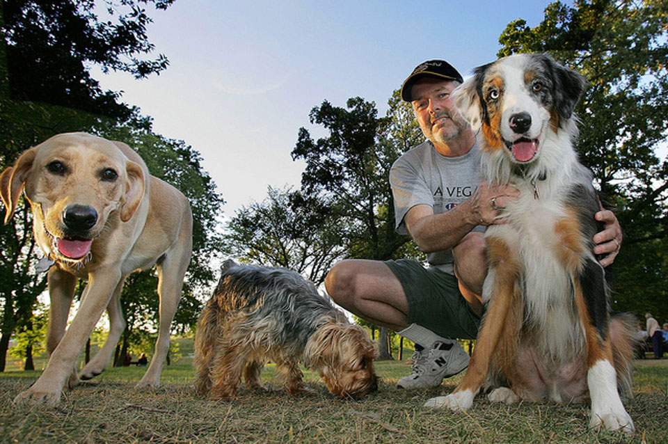 Dogs and owner in Dakota Dog Park