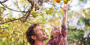Father and daughter pick apples.